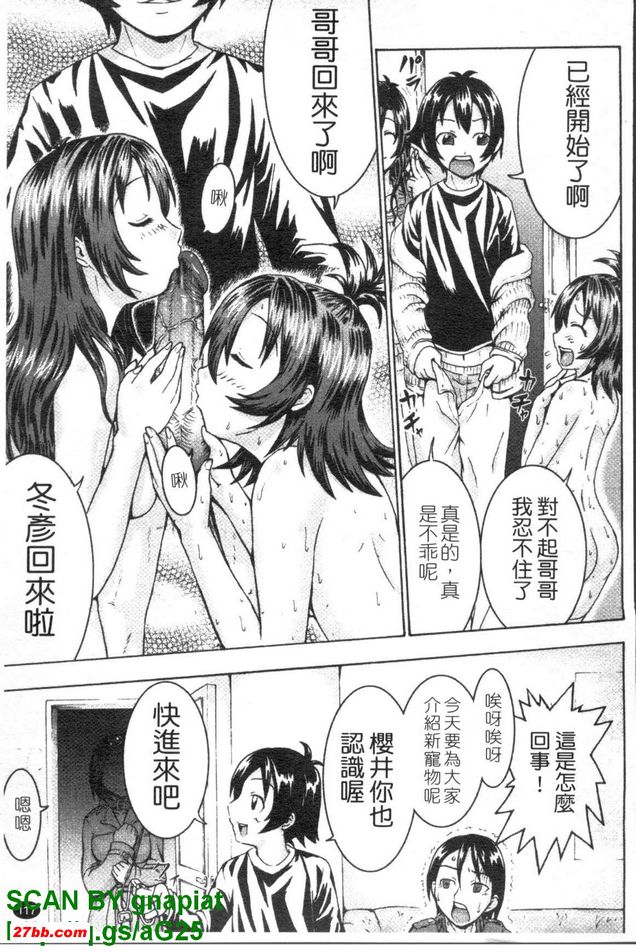 貓不在的時間