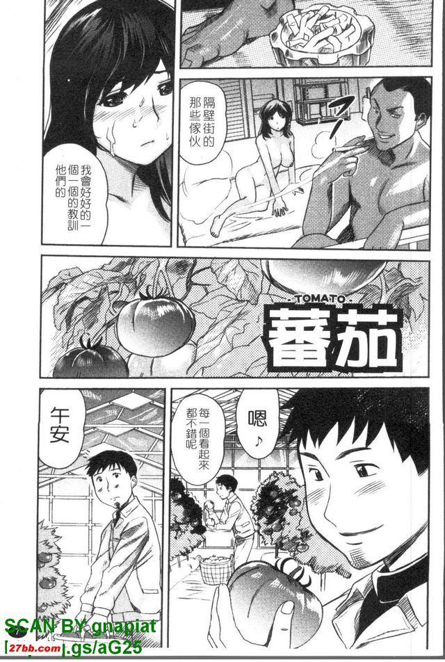 番茄