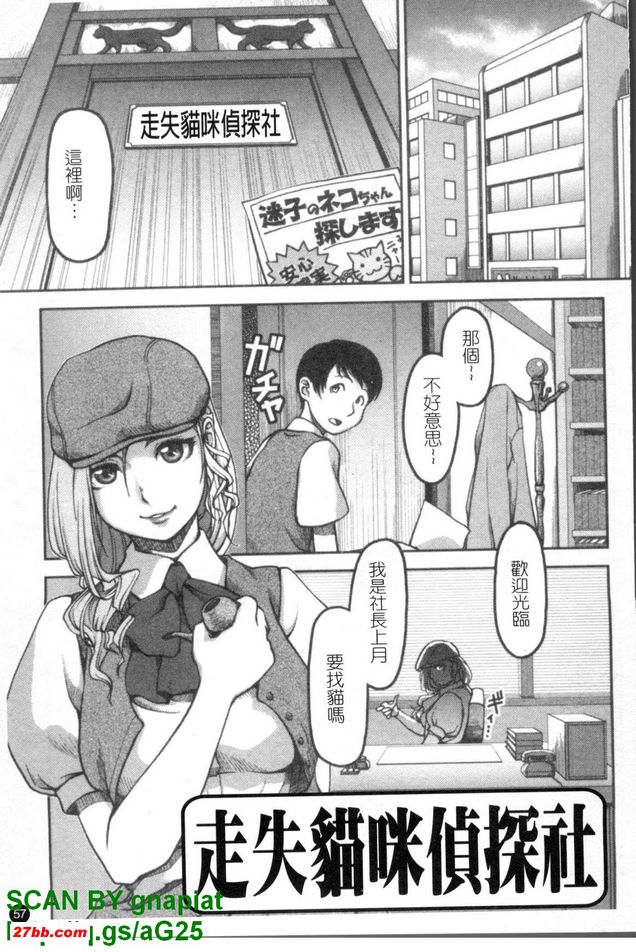 走失貓咪偵探社