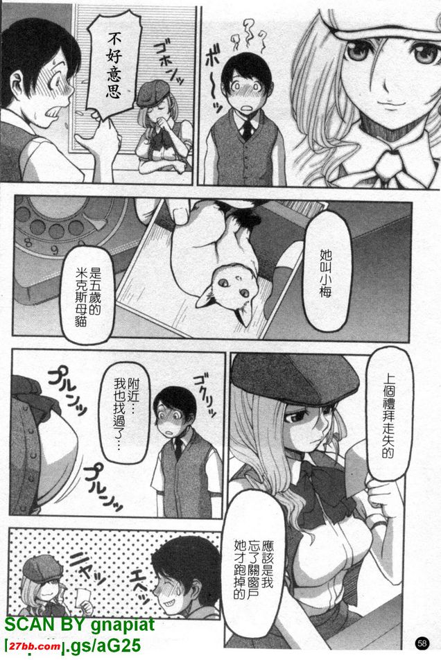 走失貓咪偵探社