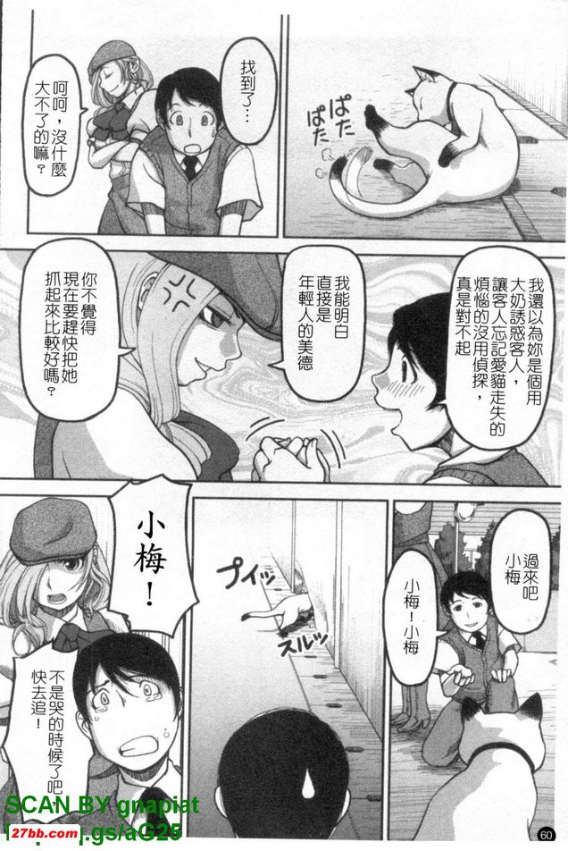 走失貓咪偵探社