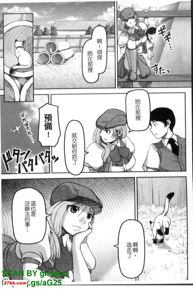 走失貓咪偵探社