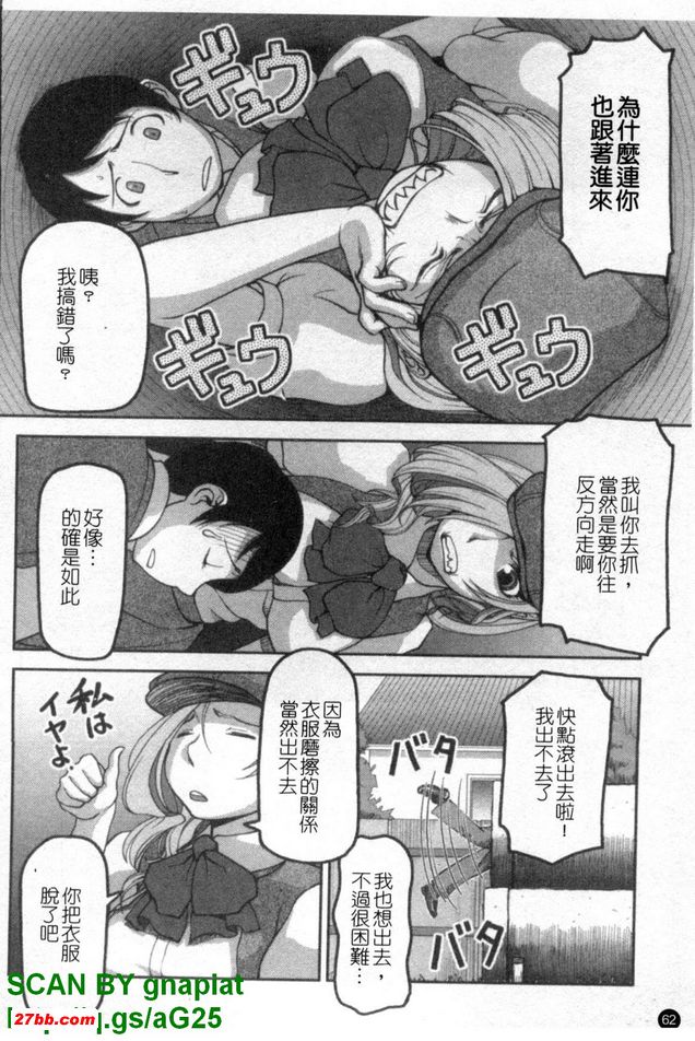 走失貓咪偵探社