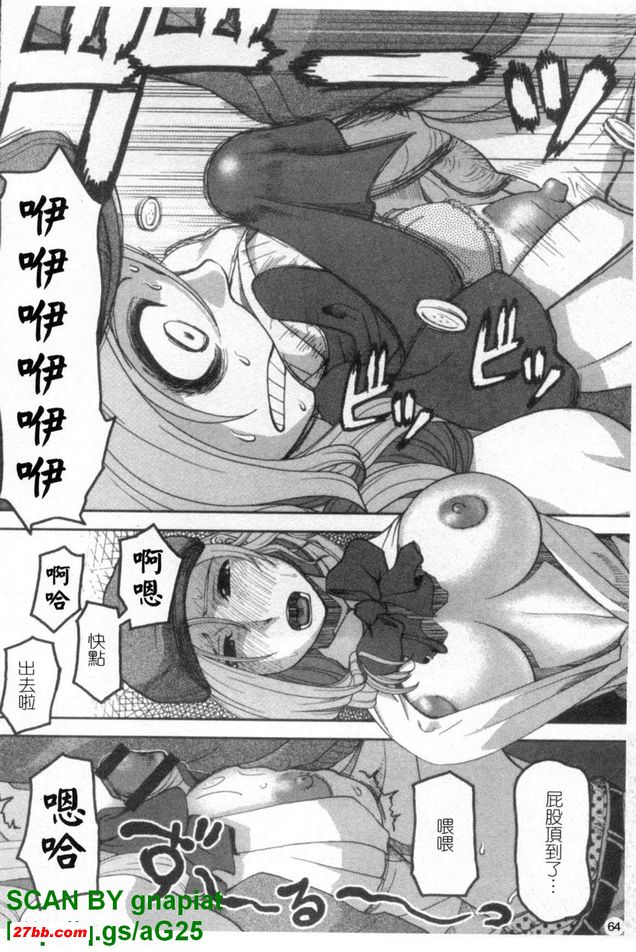 走失貓咪偵探社
