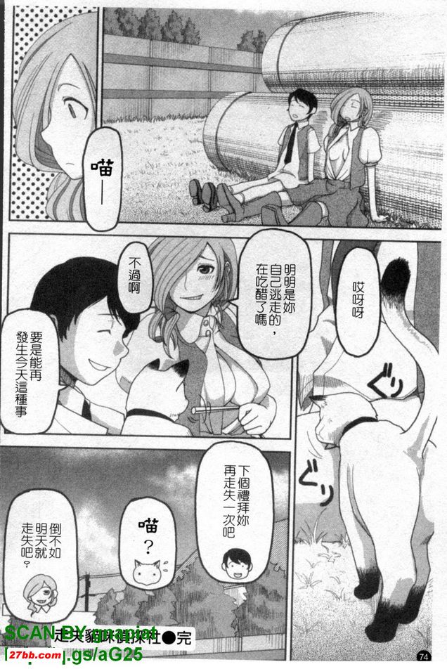 走失貓咪偵探社