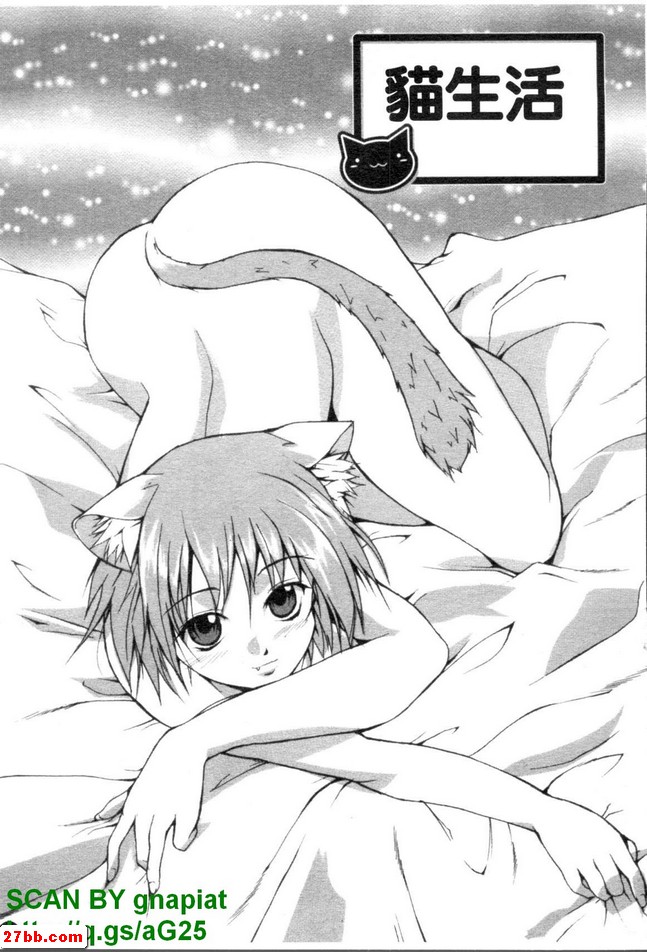 貓生活