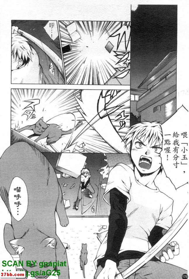 貓生活