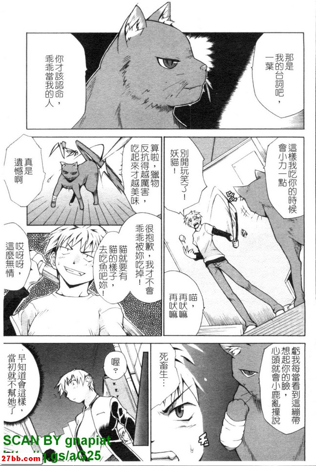 貓生活