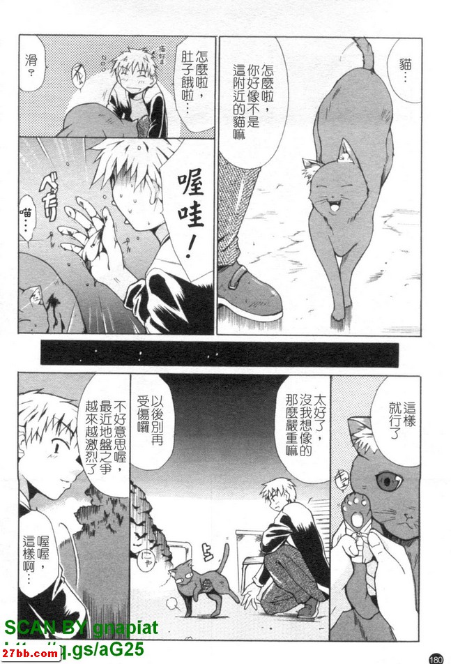 貓生活