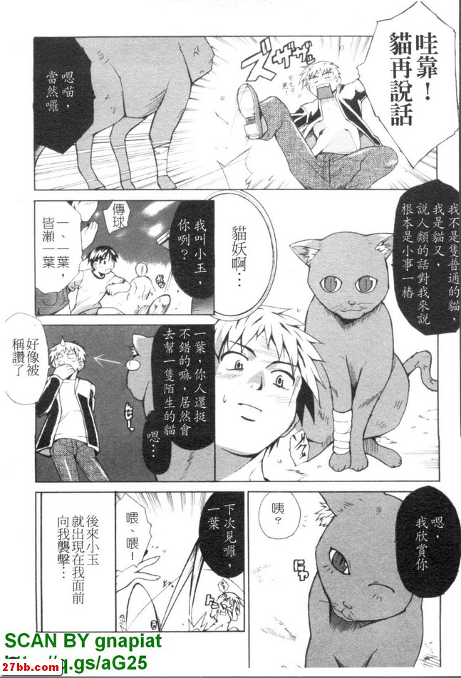貓生活