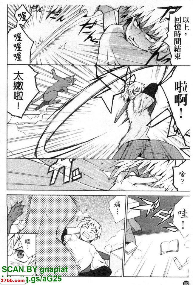 貓生活