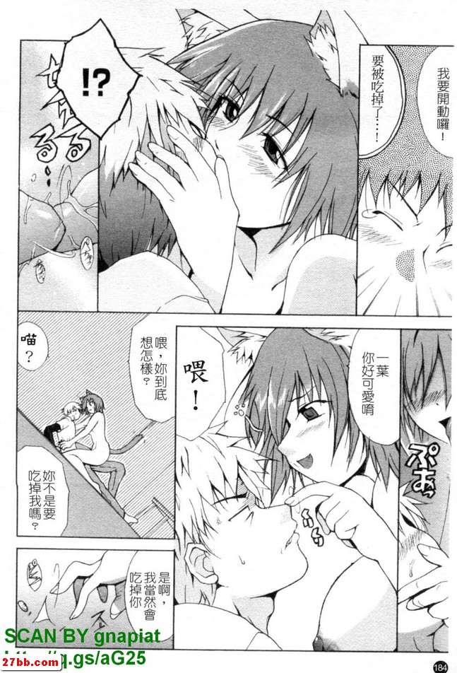 貓生活