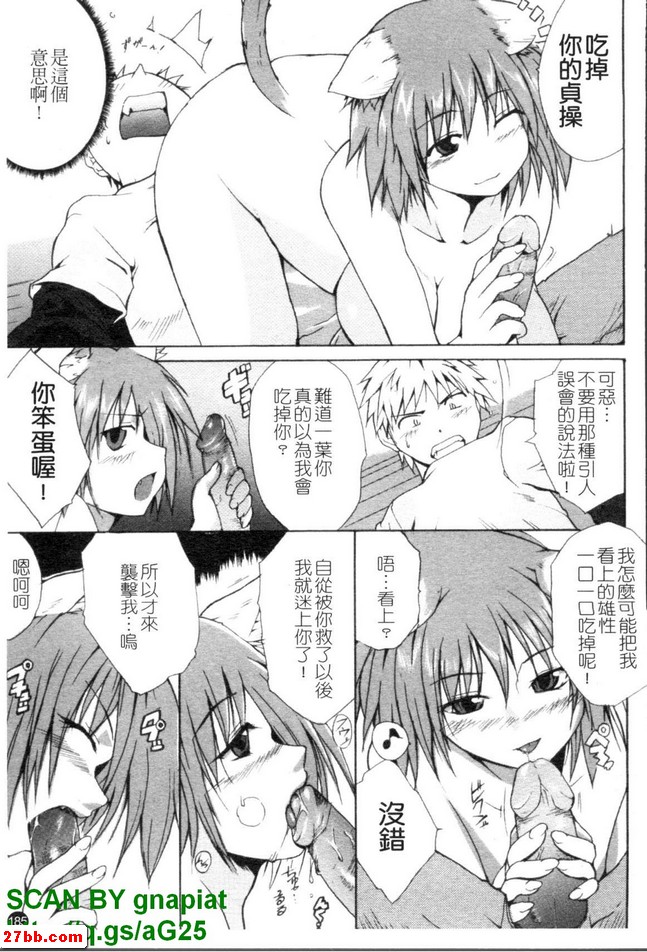 貓生活