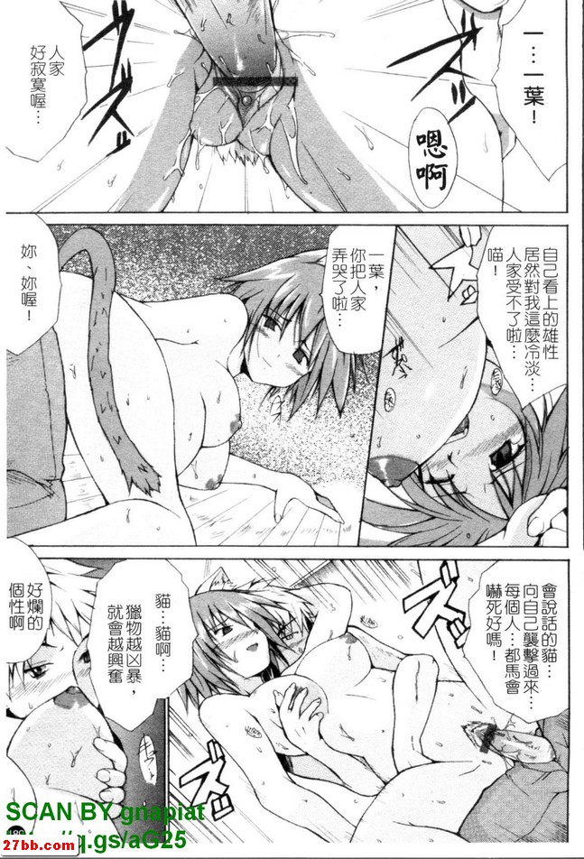 貓生活