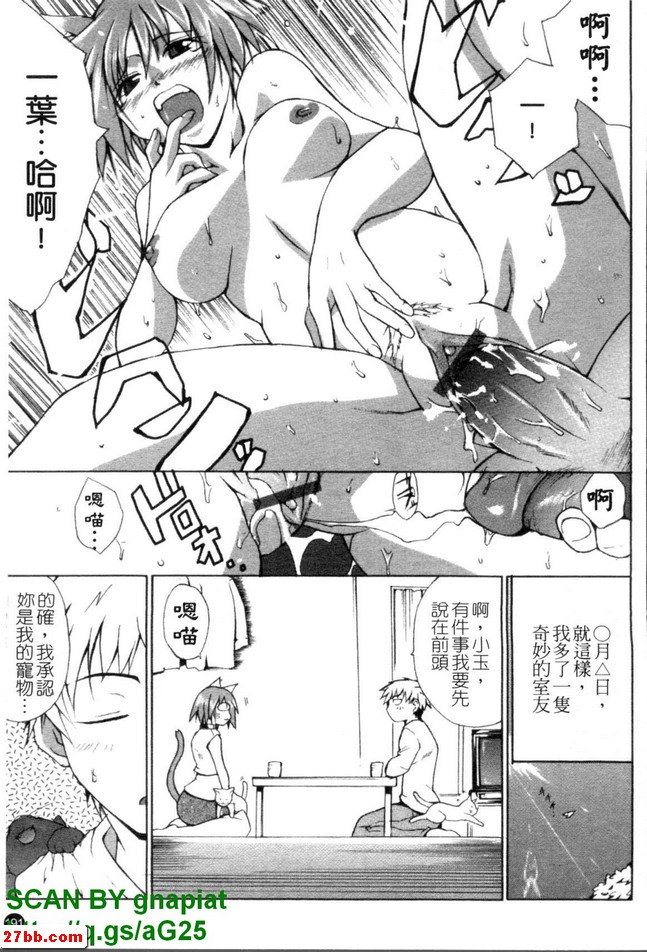 貓生活