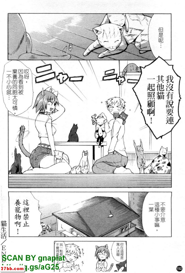 貓生活