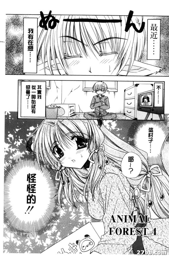 動物森林4