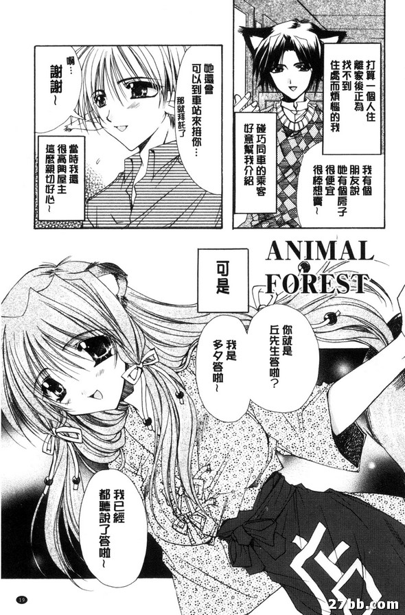 動物森林