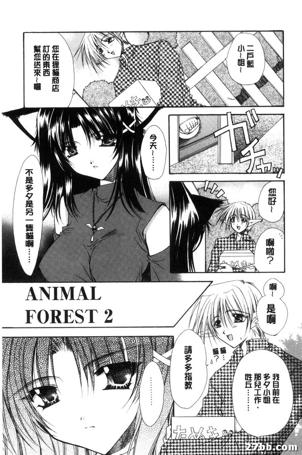 動物森林2