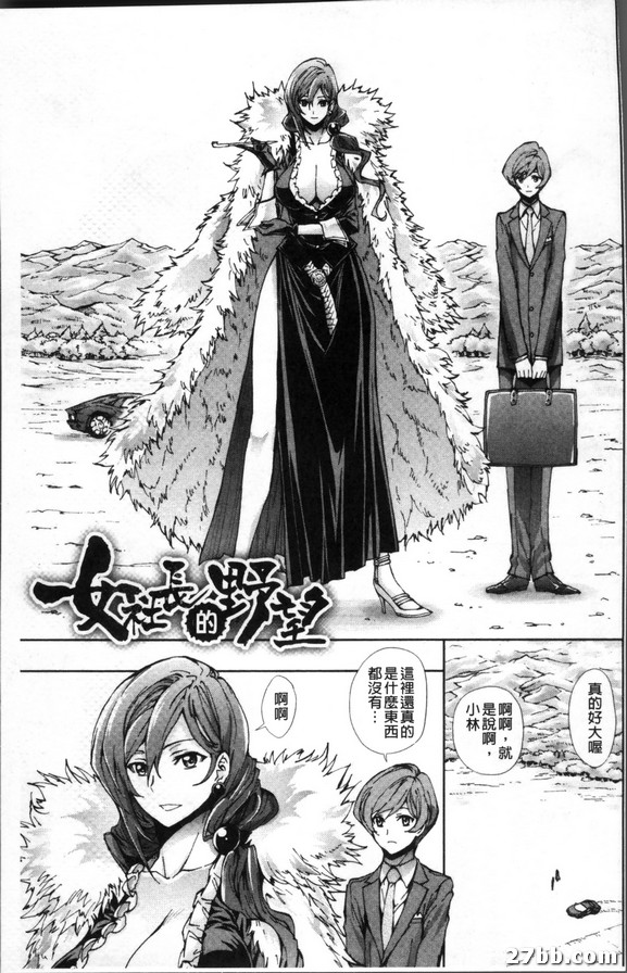 女社長的野望