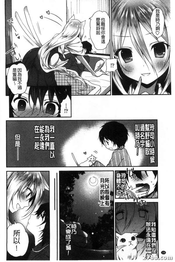 怪怪貓女