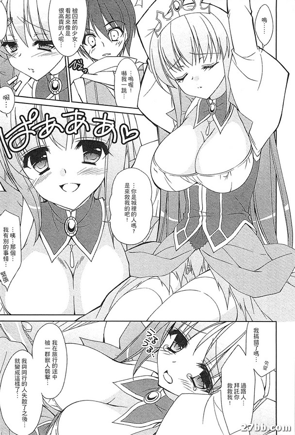公主與盜賊