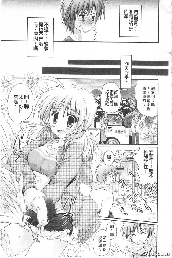 女人之夜