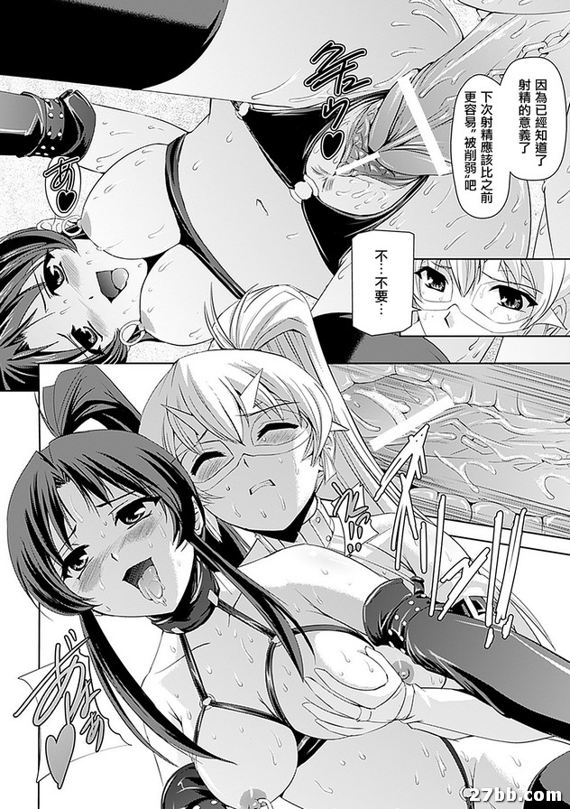 墮落的少女劍士