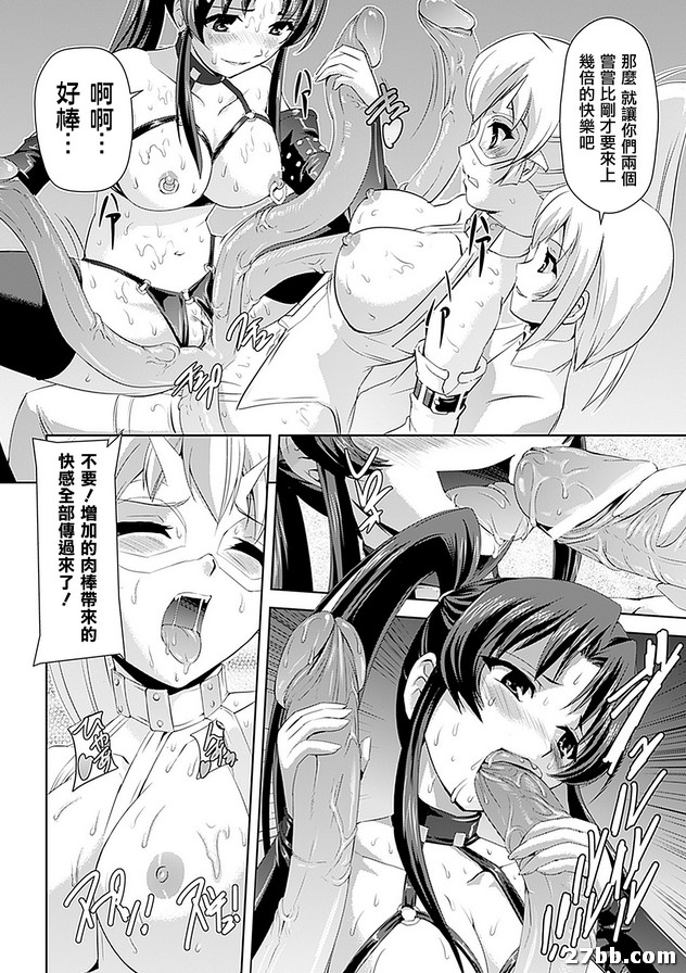 墮落的少女劍士