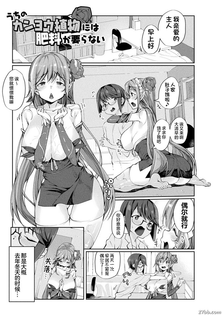 “我的柏樹不需要肥料。”