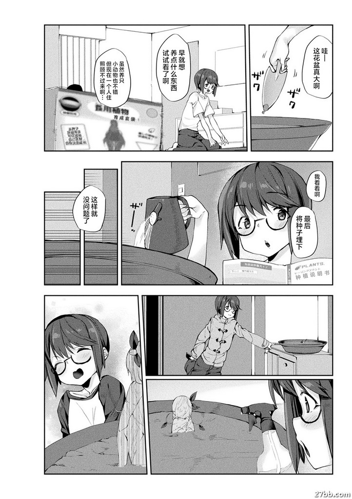 “我的柏樹不需要肥料。”