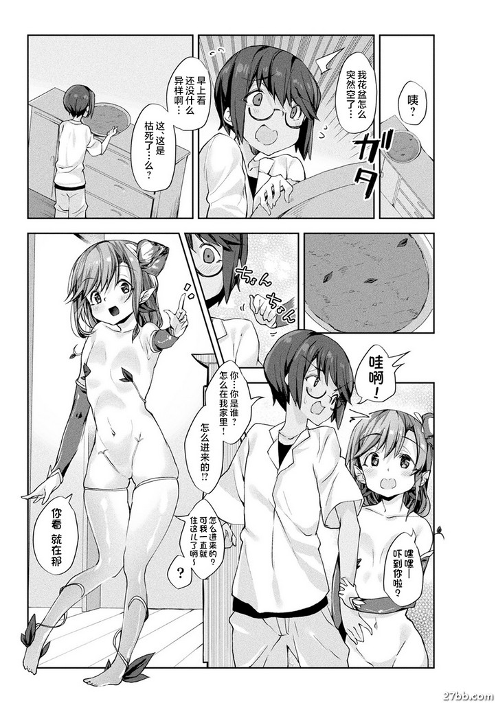 “我的柏樹不需要肥料。”