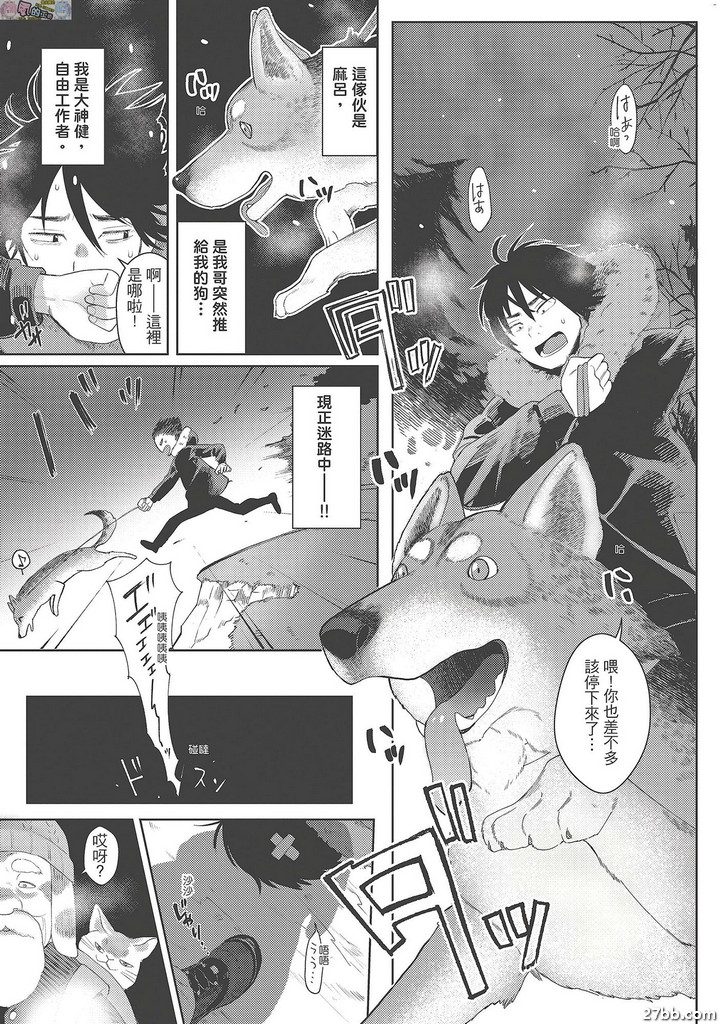 狗狗女孩野狼男孩