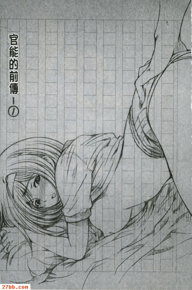 功能前傳